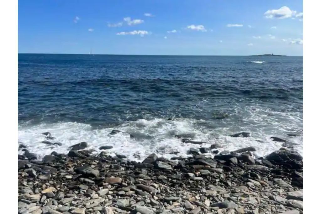 Photo of Others in Peaks Island
