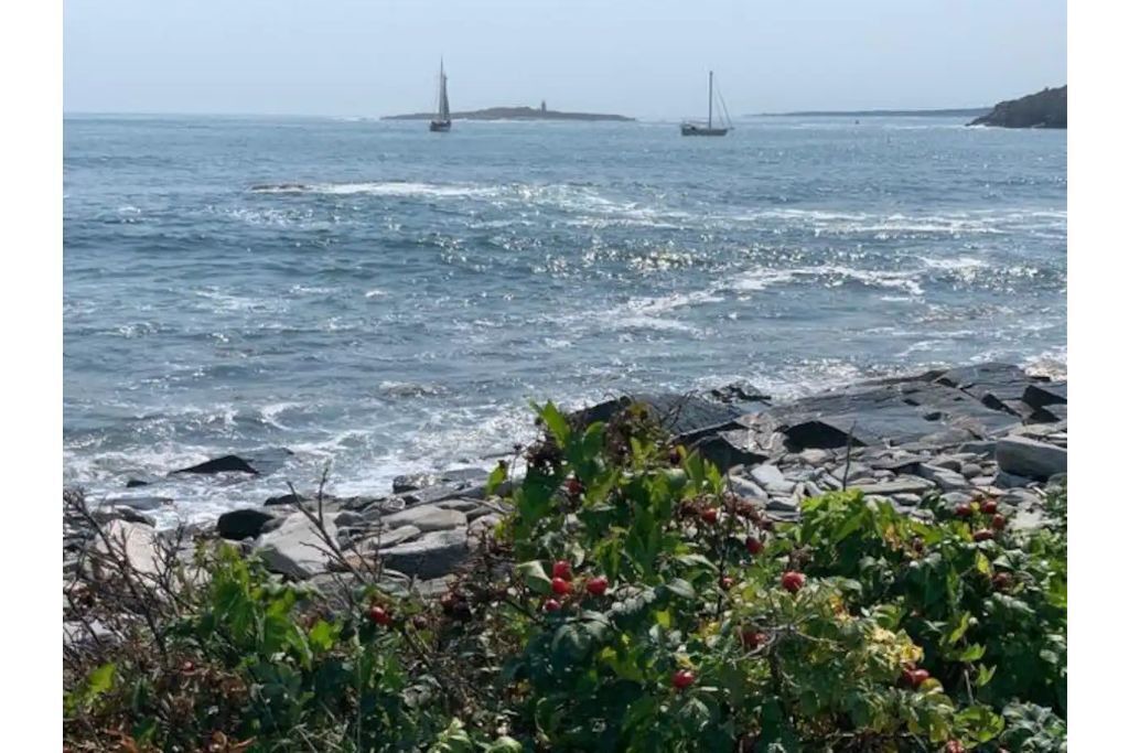 Photo of Others in Peaks Island