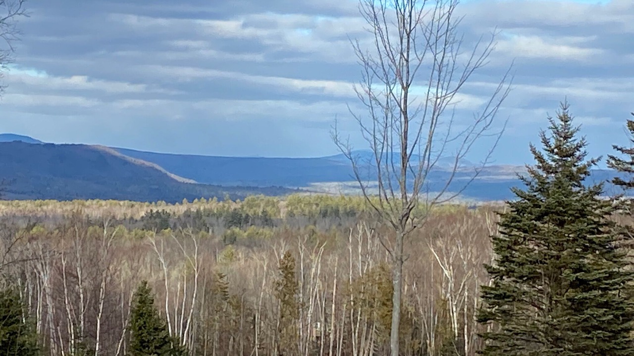 Photo of Outdoor in Embden
