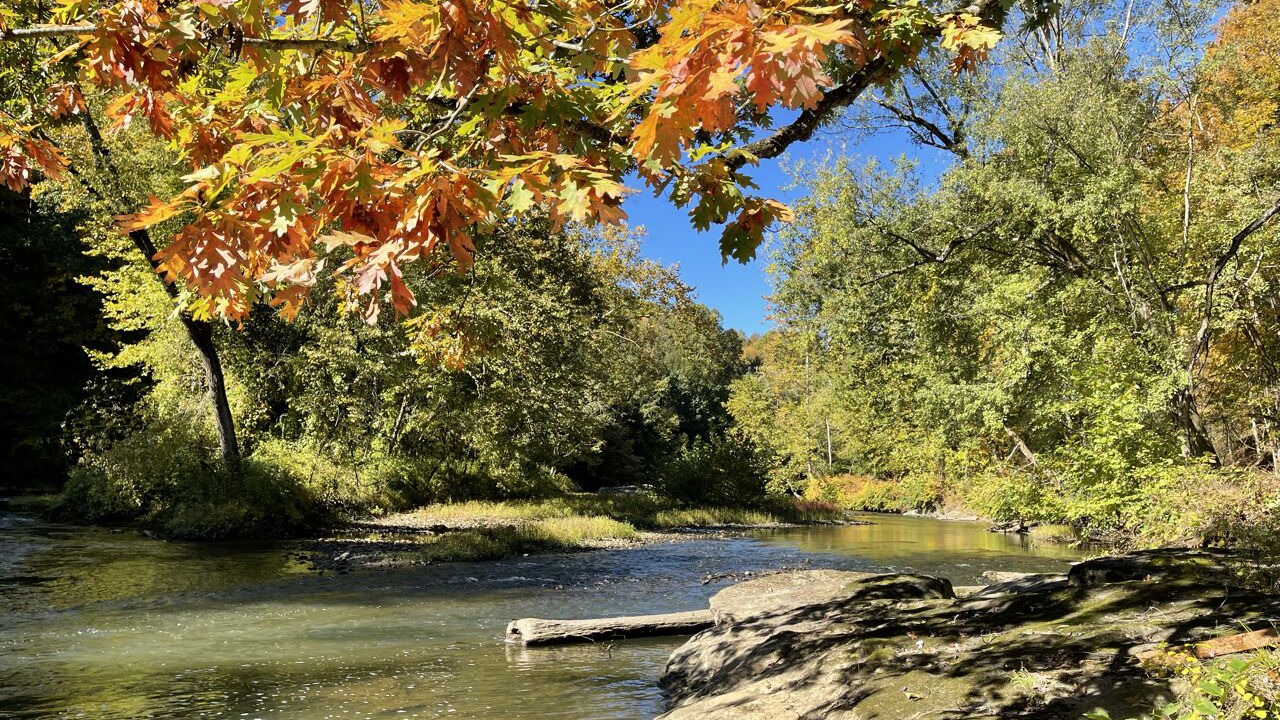 Photo of Outdoor in Branchton