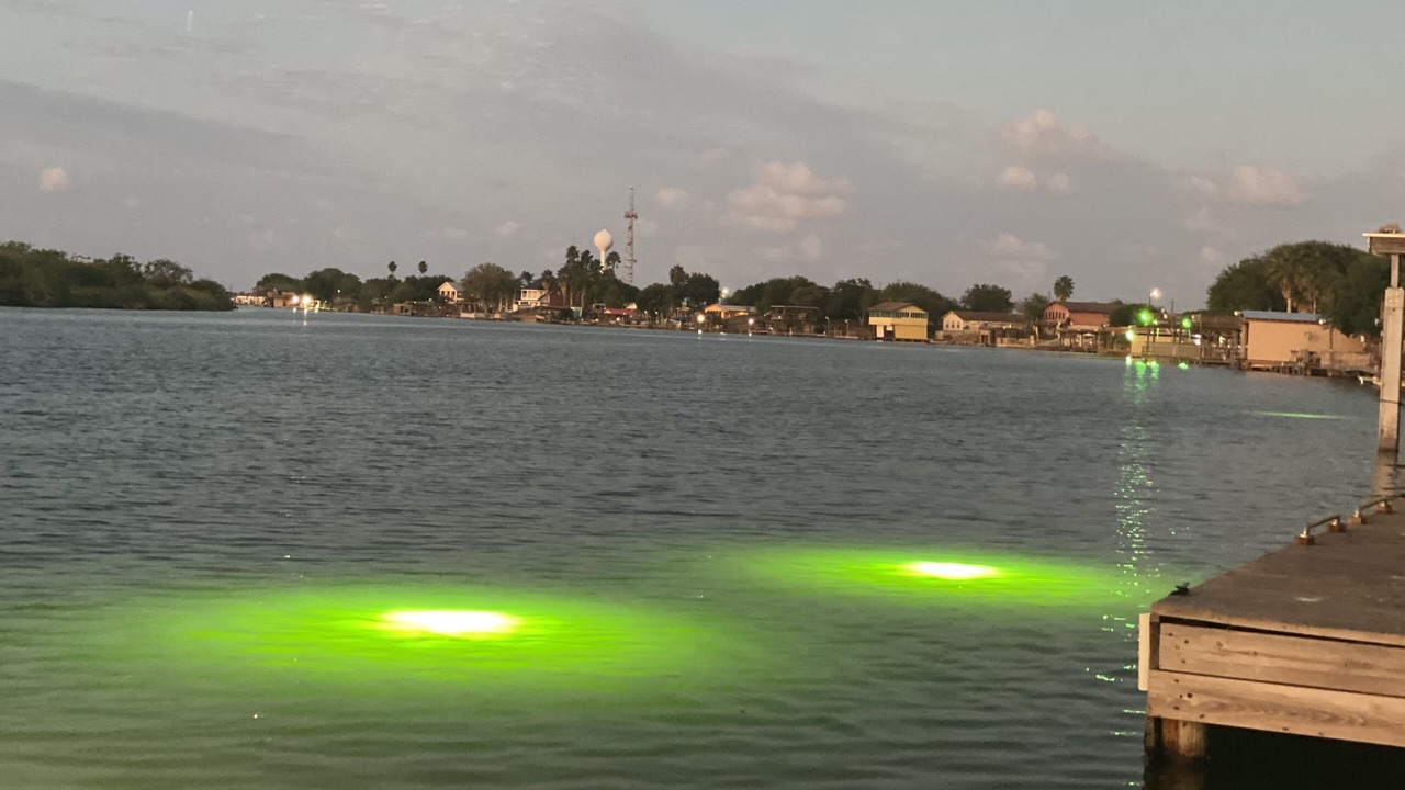 Photo of Others in Rio Hondo
