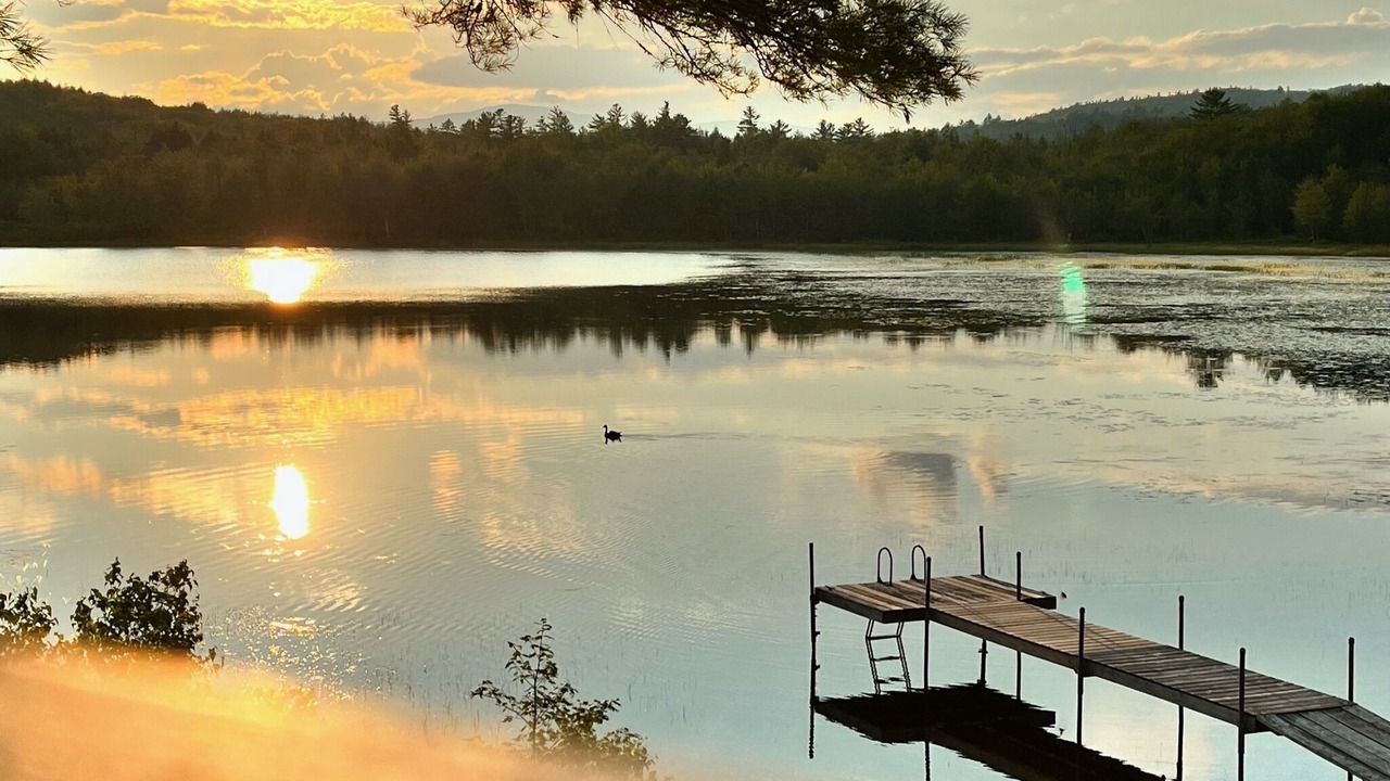 Photo of Outdoor in Stoneham