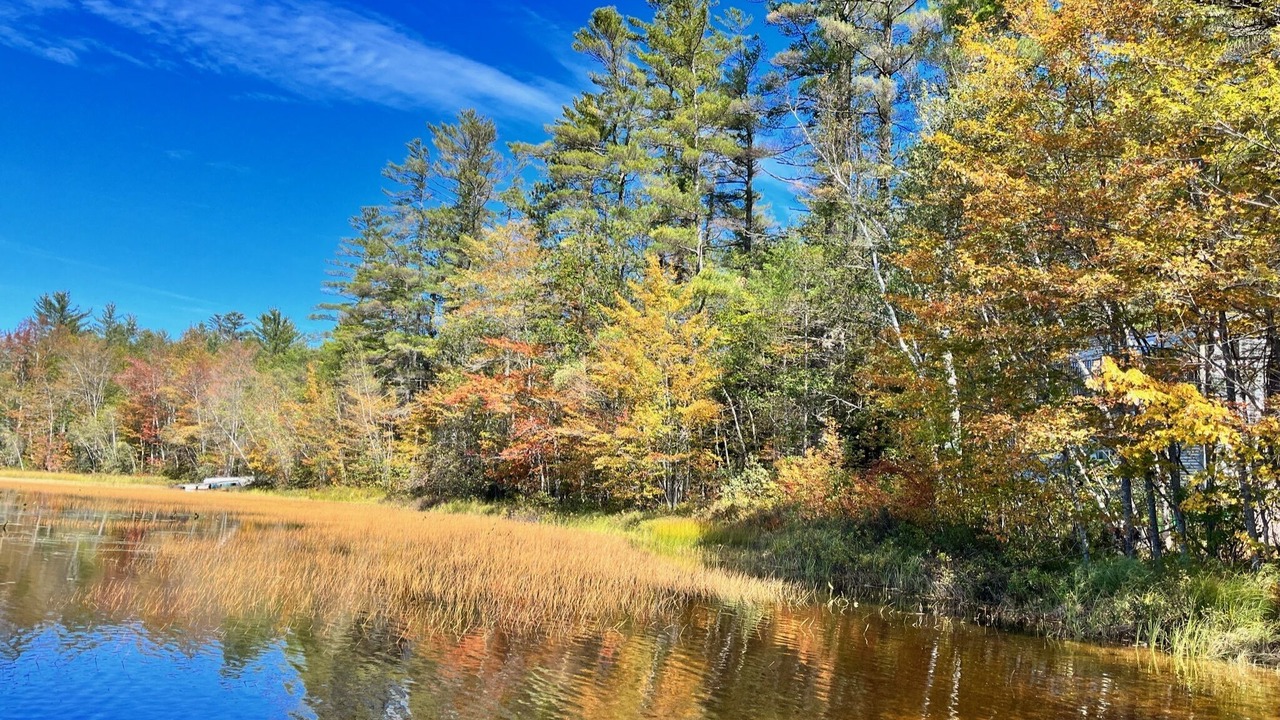 Photo of Outdoor in Stoneham