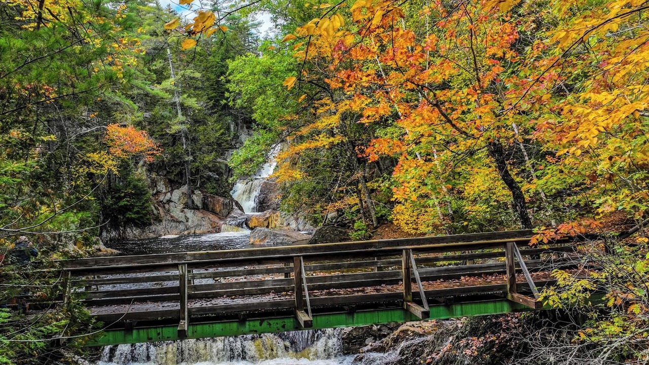Photo of Others in Rangeley