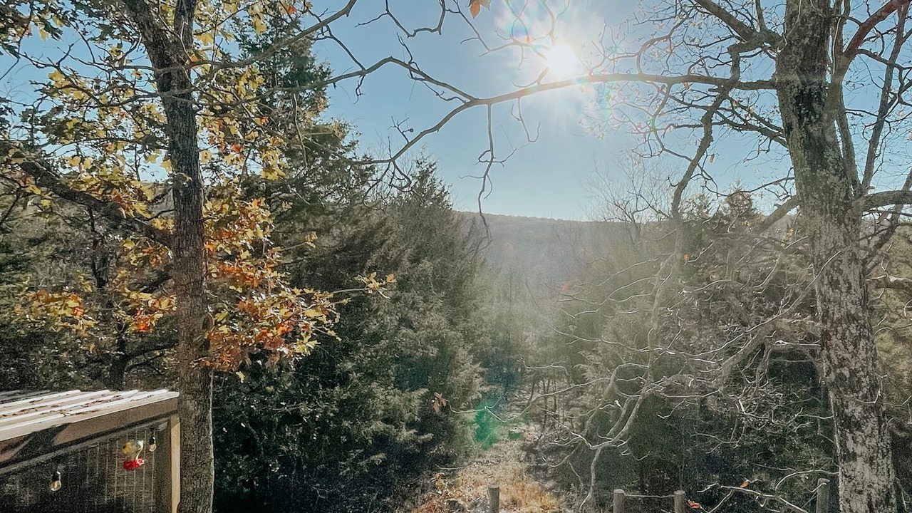 Photo of Outdoor in Park Hill