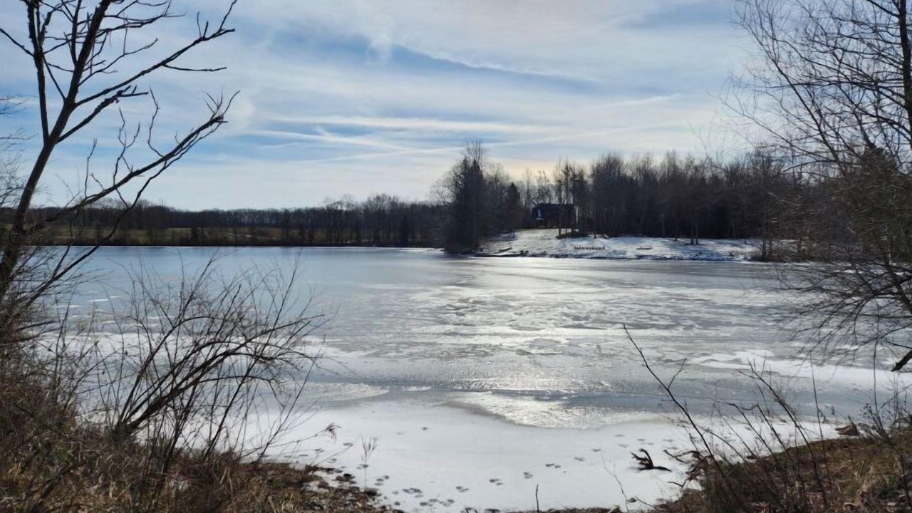 Photo of Outdoor in West Springfield