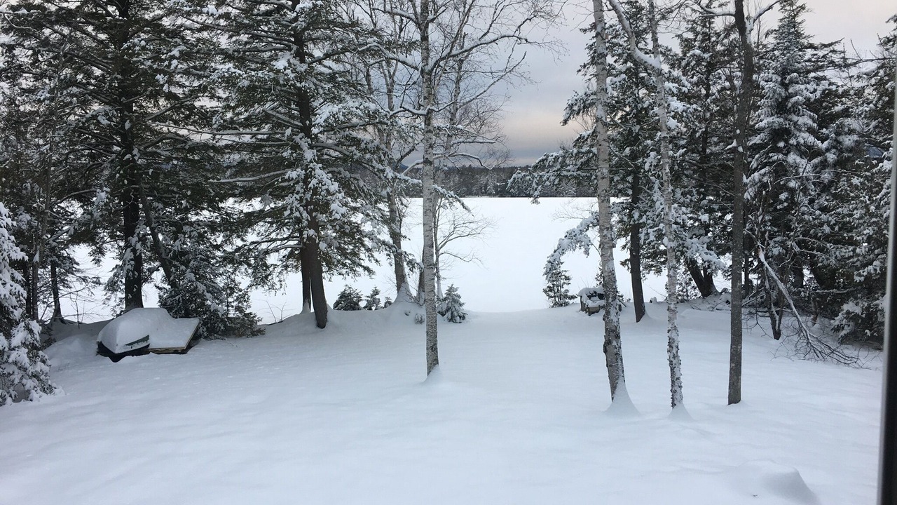 Photo of Outdoor in Abbot