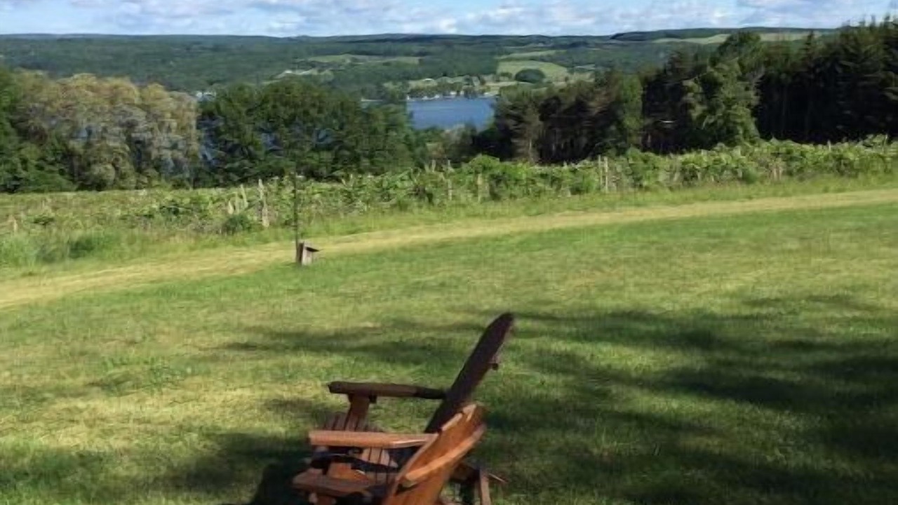 Photo of Outdoor in Hammondsport
