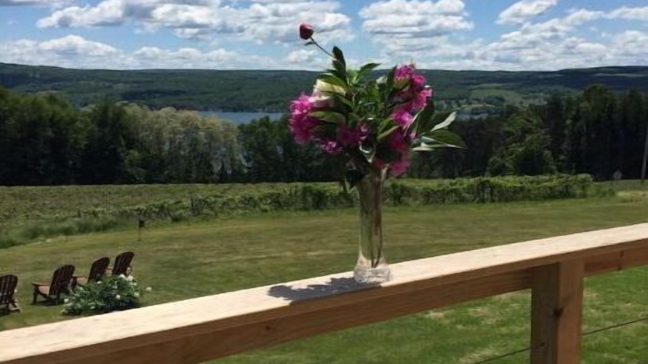 Photo of Outdoor in Hammondsport