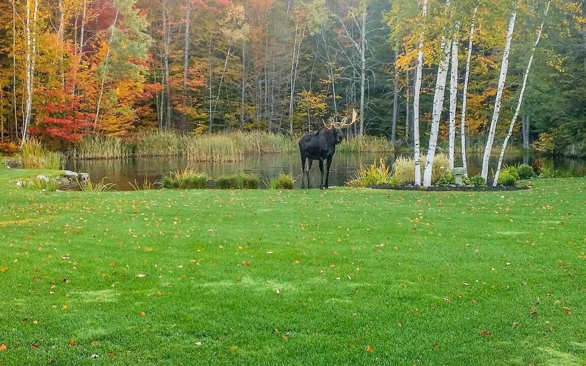 Photo of Others in Sunday River Area