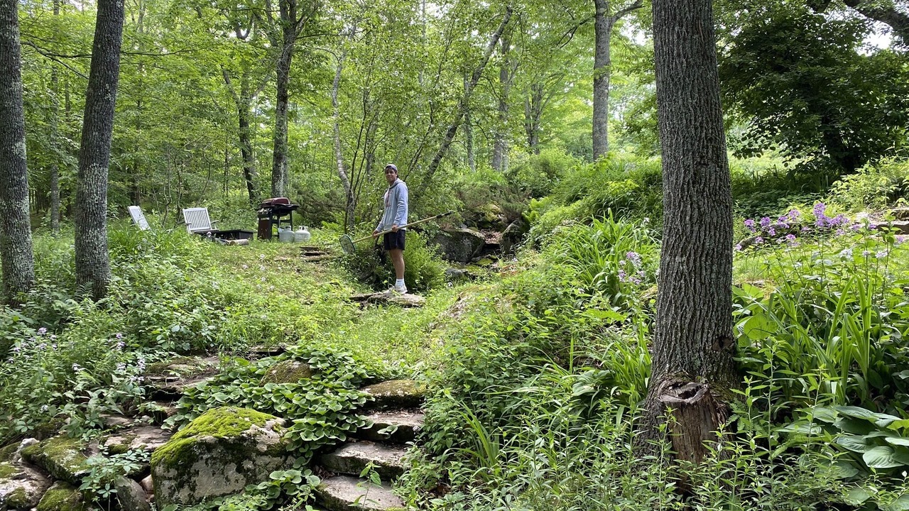 Photo of Outdoor in Bowdoin