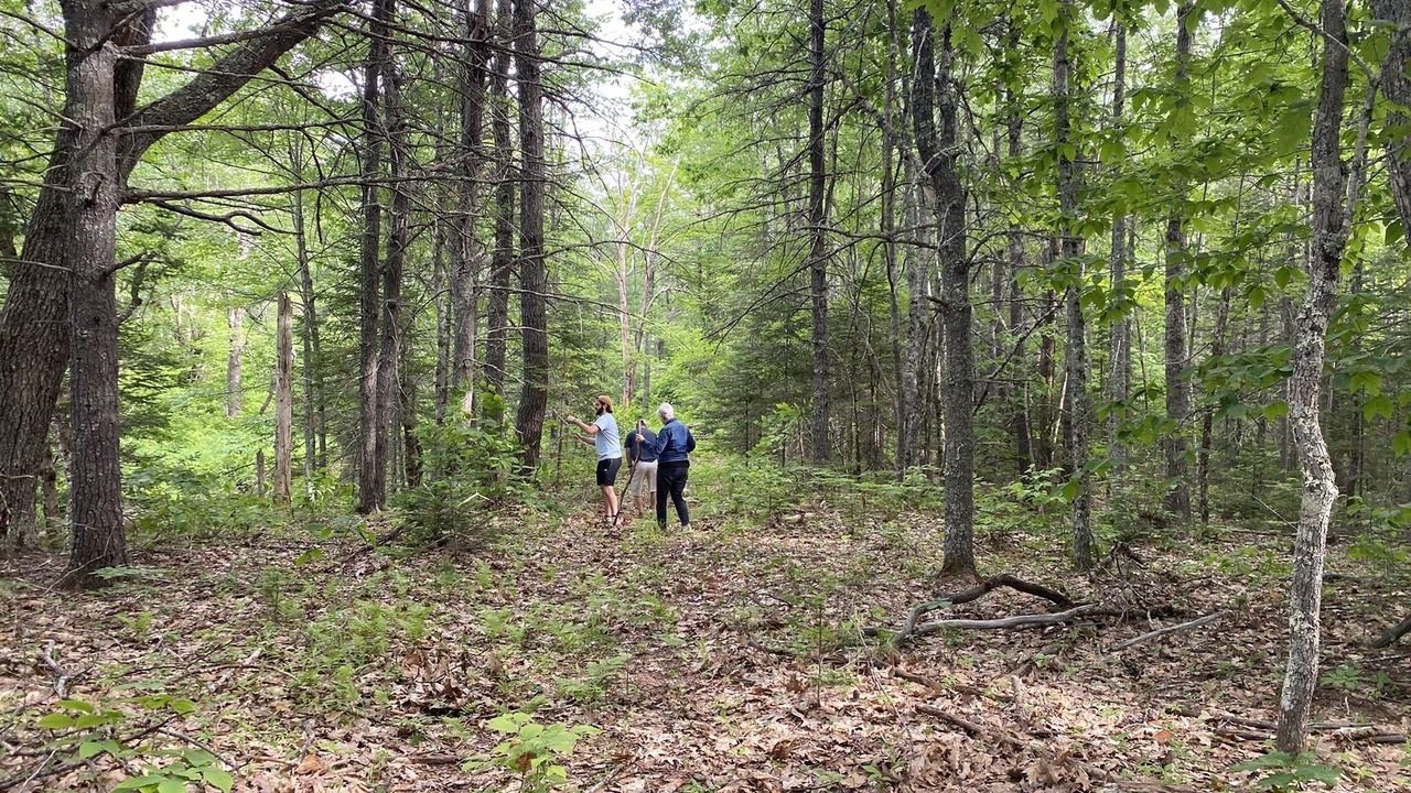 Photo of Outdoor in Bowdoin