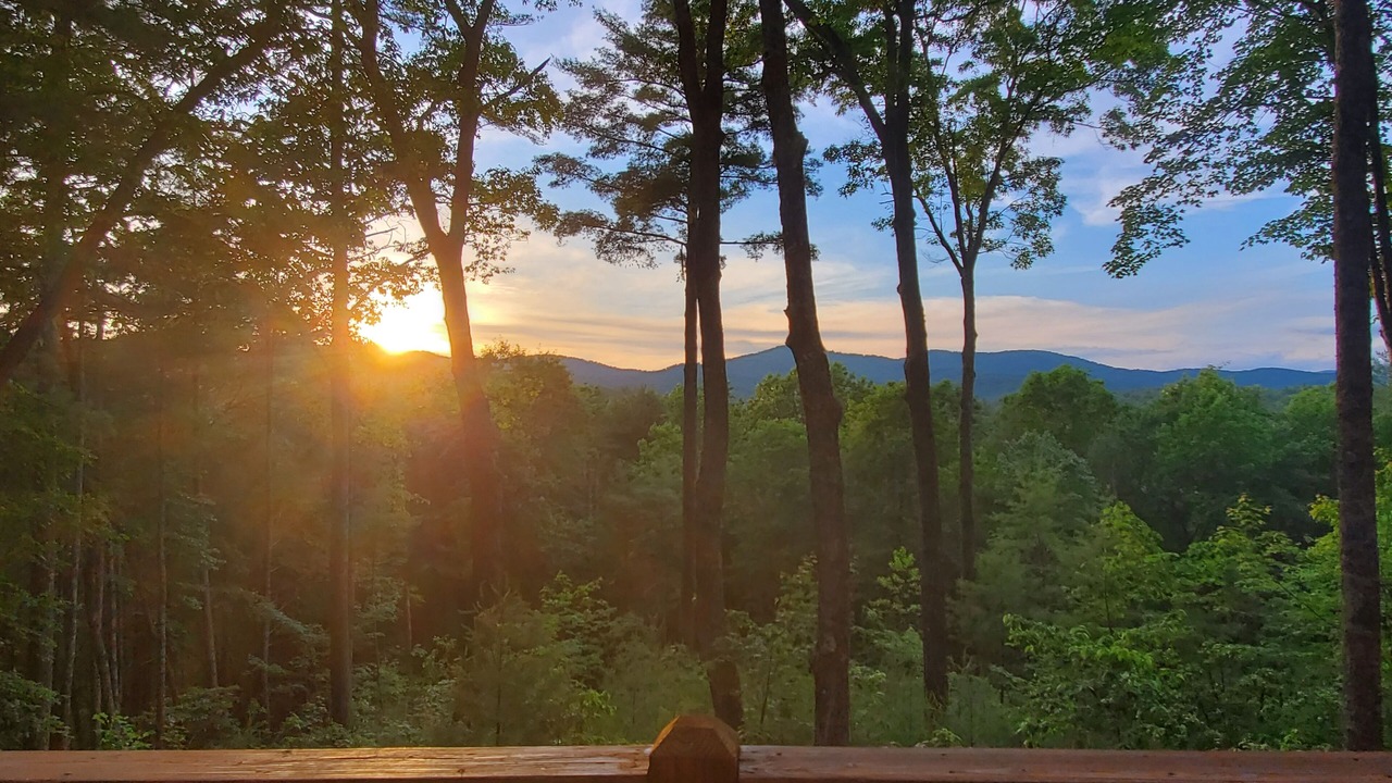 Photo of Others in Ellijay