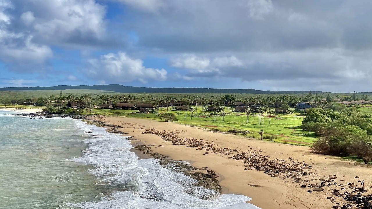 Photo of Others in Maunaloa