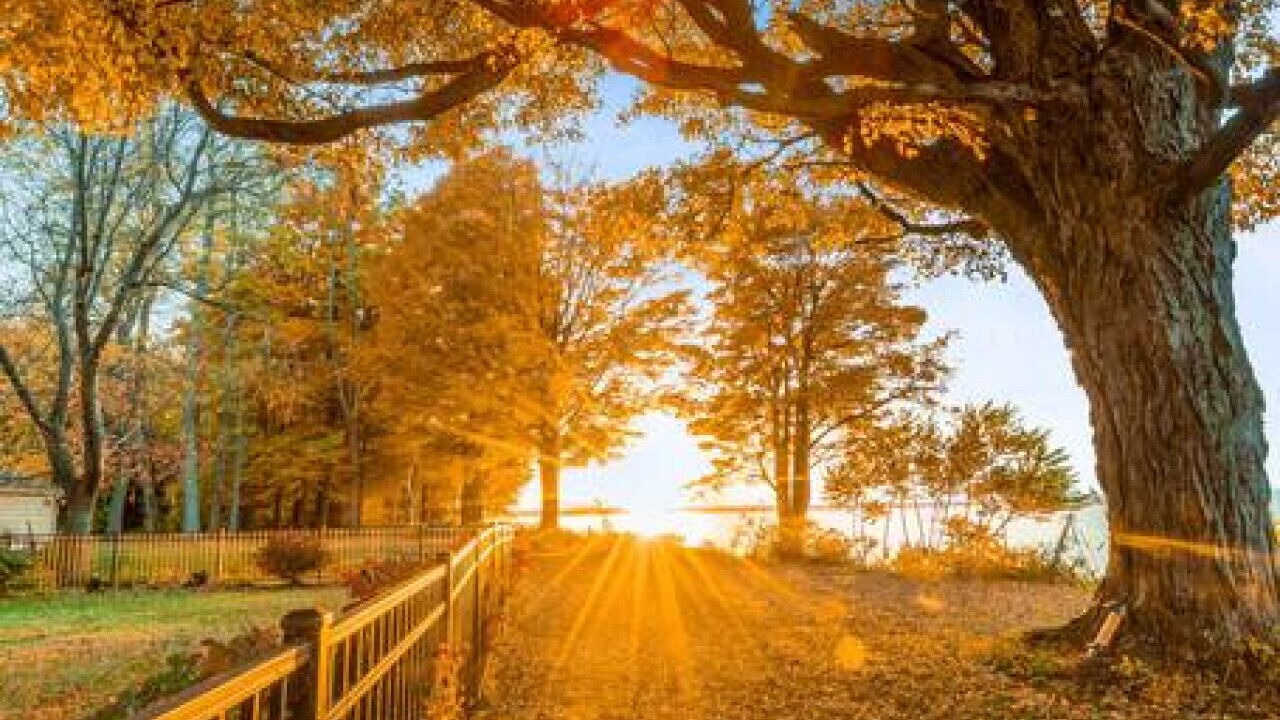 Photo of Outdoor in Fairfield