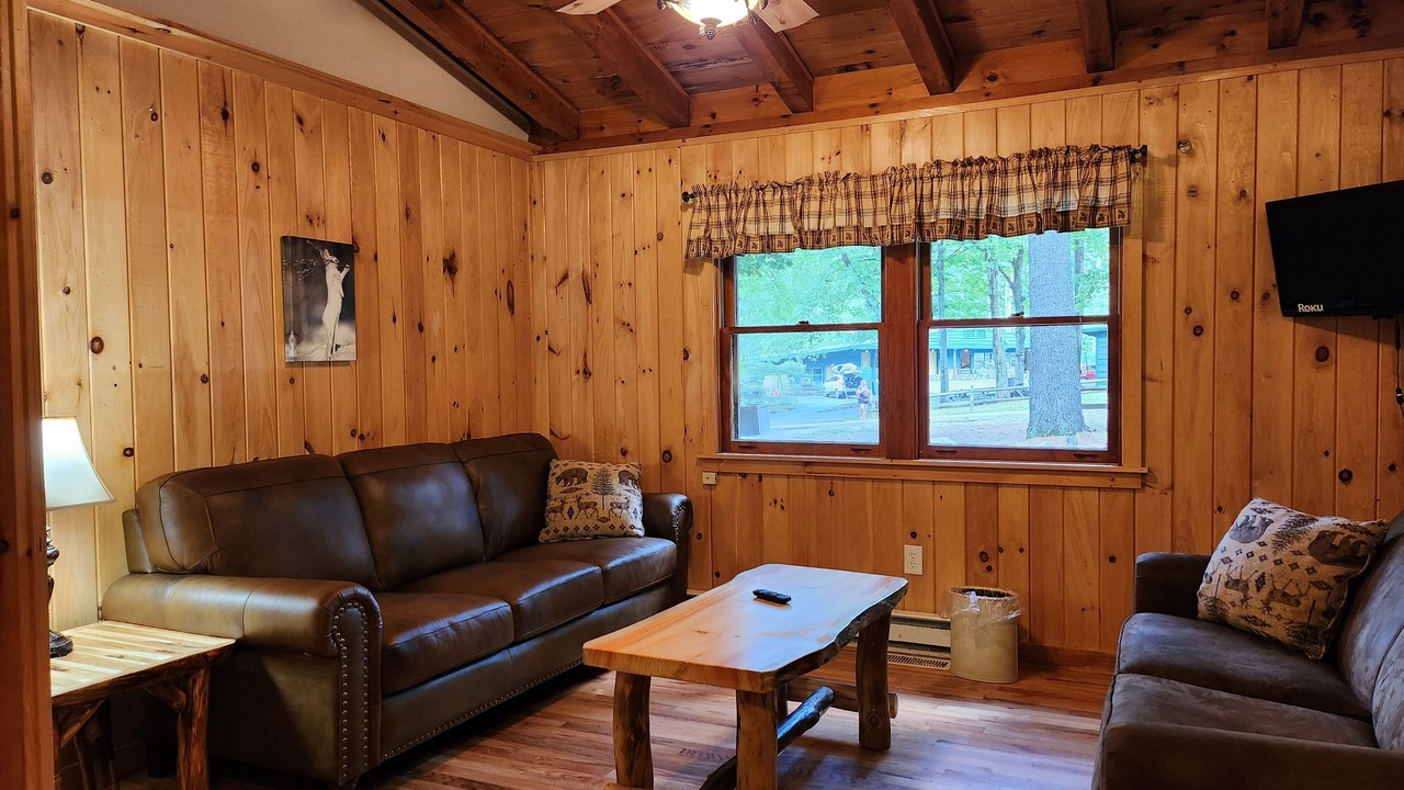Photo of Livingroom in Lake George