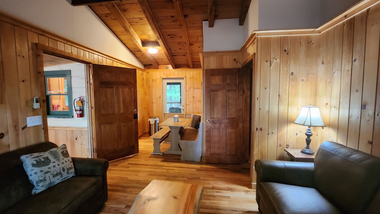 Photo of Livingroom in Lake George