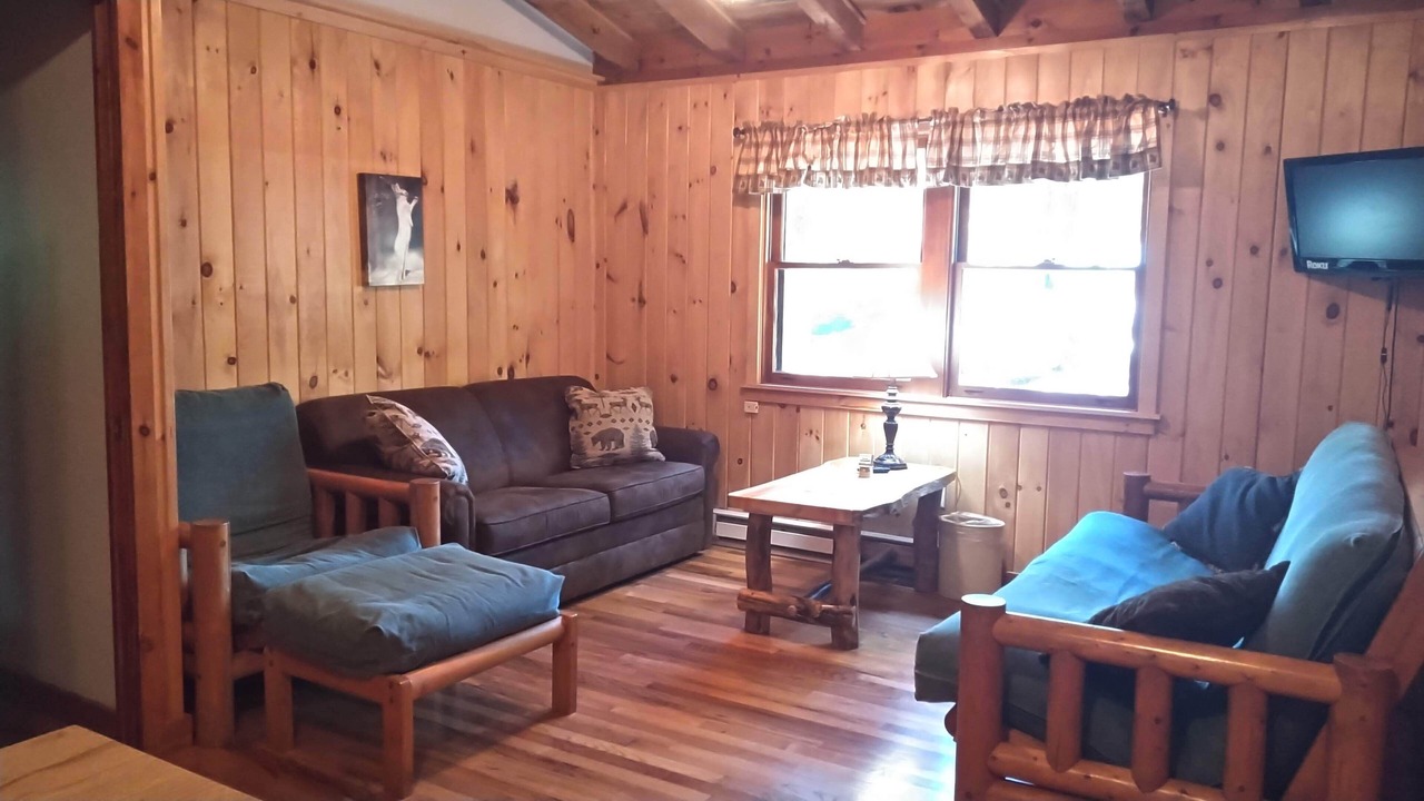 Photo of Livingroom in Lake George