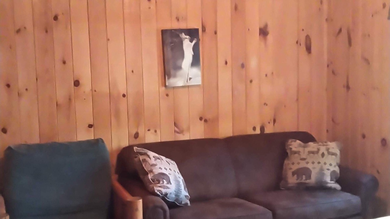 Photo of Livingroom in Lake George