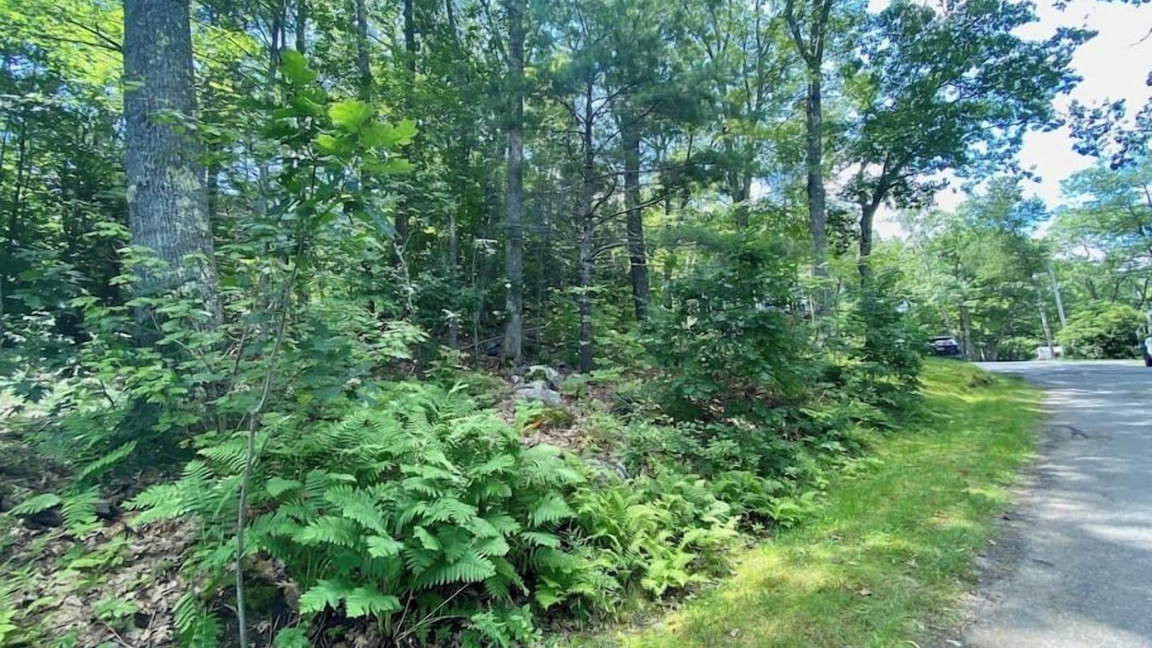Photo of Outdoor in Edgecomb