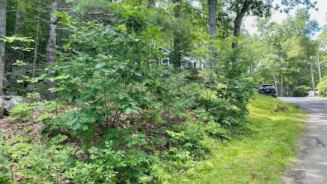 Photo of Outdoor in Edgecomb