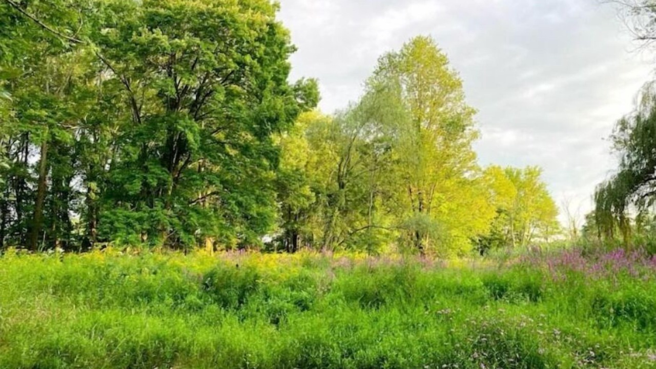 Photo of Outdoor in Town of Webb