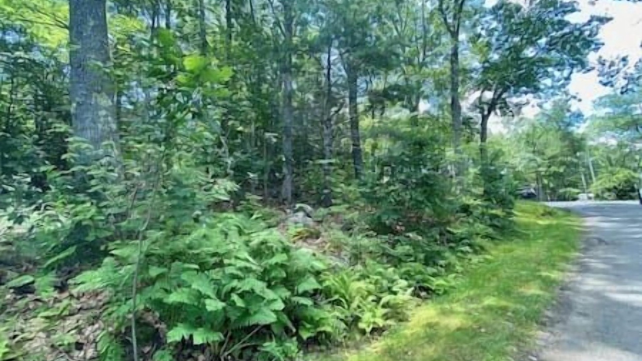 Photo of Outdoor in Edgecomb