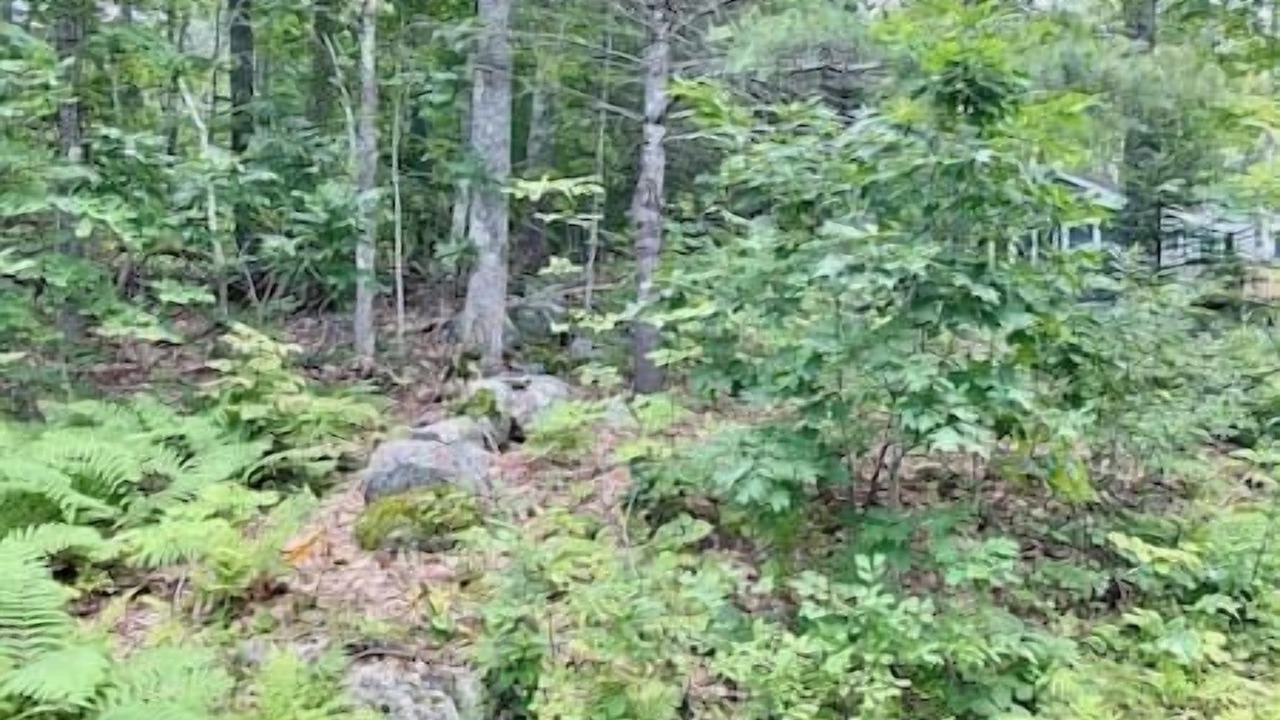 Photo of Outdoor in Edgecomb