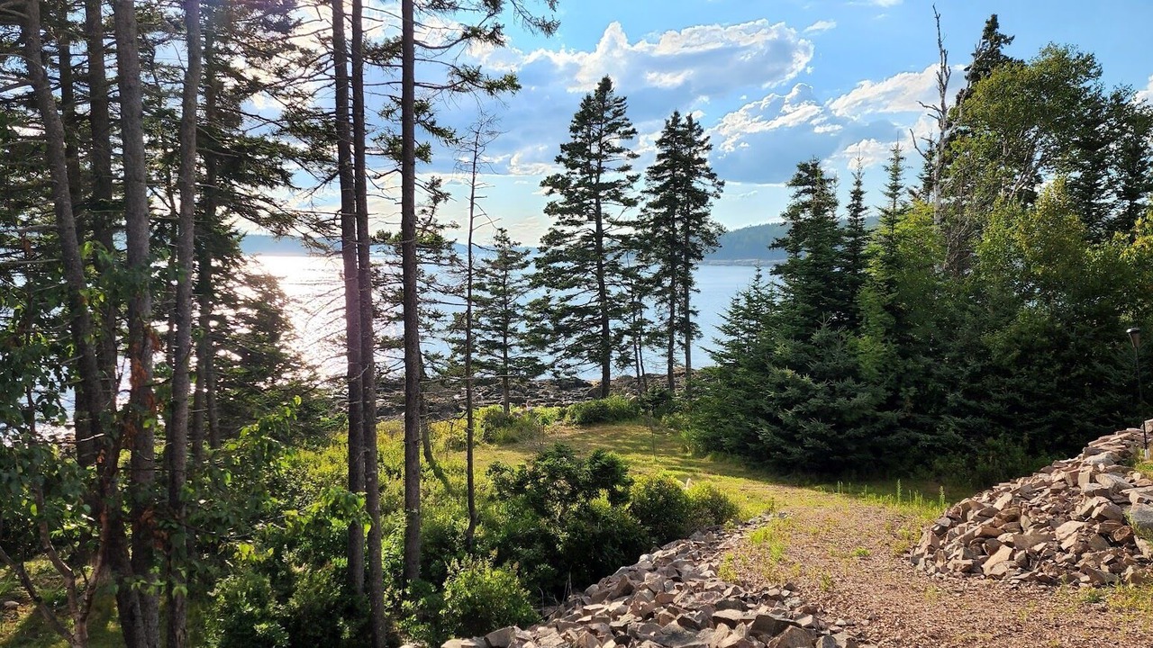 Photo of Others in Winter Harbor