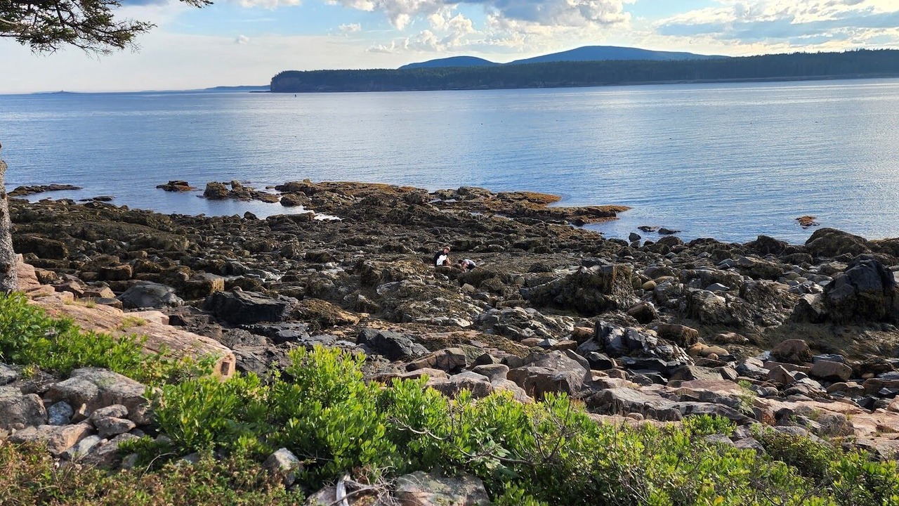 Photo of Others in Winter Harbor