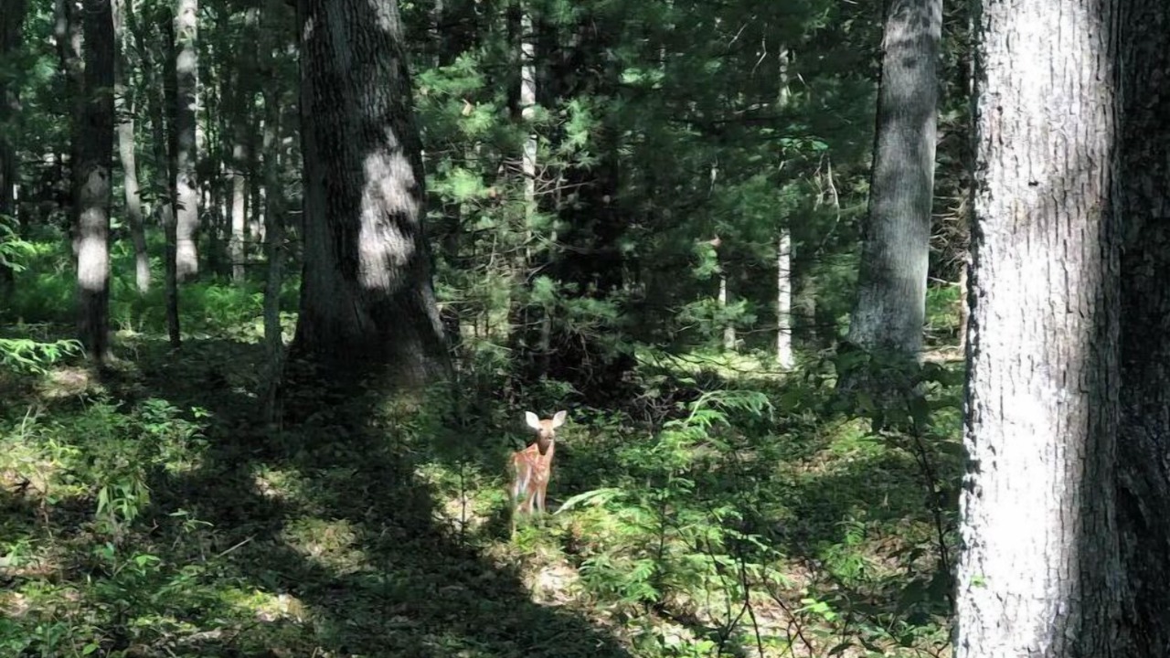 Photo of Outdoor in Leeper