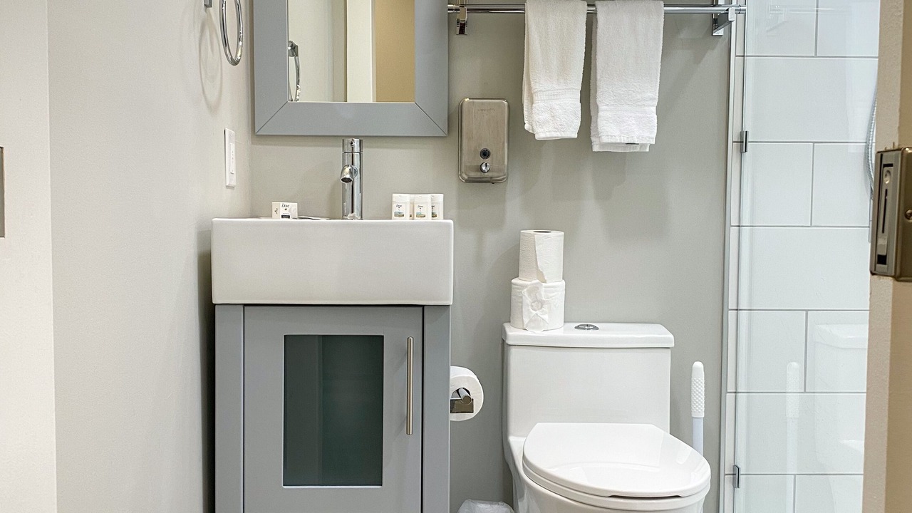 Photo of Bathroom in Flat Rock