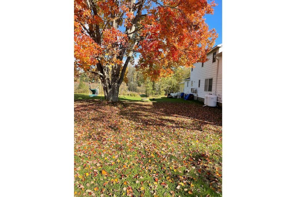 Photo of Outdoor in Mercer