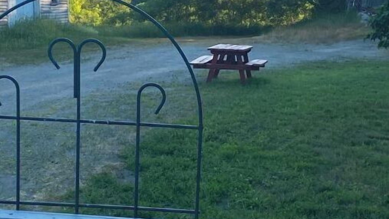 Photo of Outdoor in Mercer
