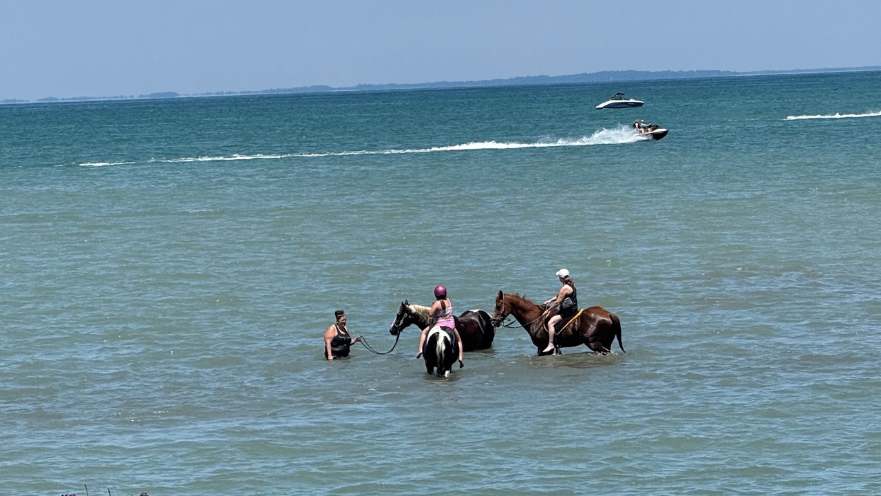 Photo of Others in Lake Erie Beach