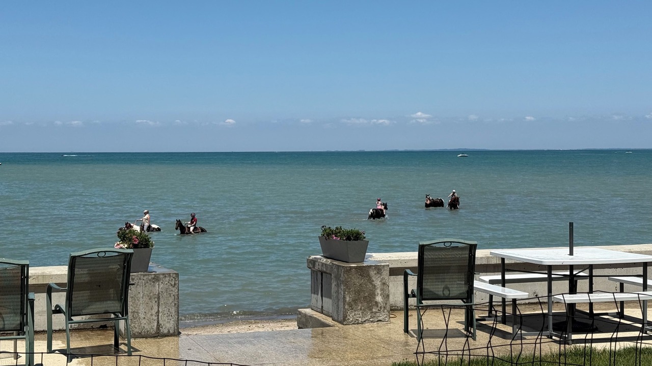 Photo of Outdoor in Lake Erie Beach