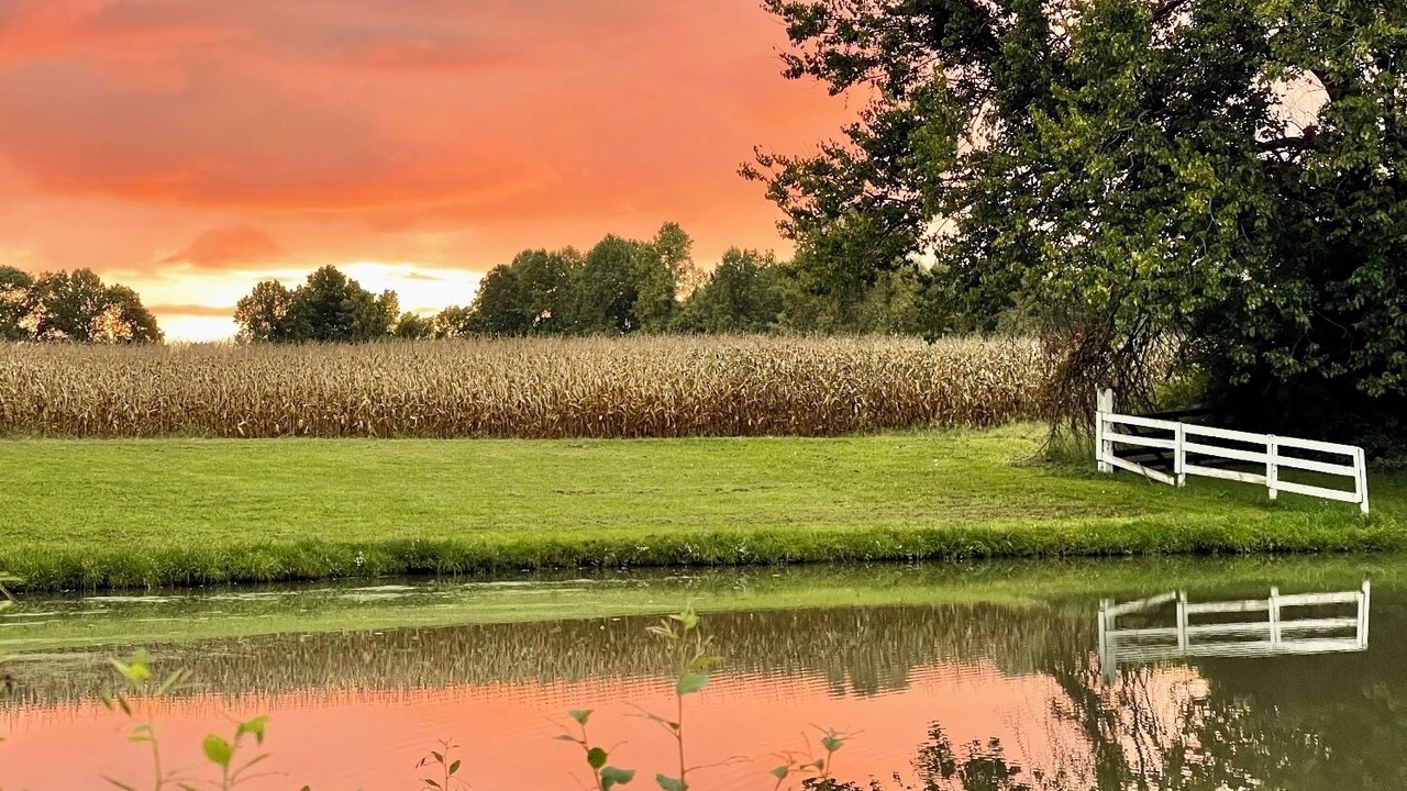 Photo of Outdoor in East Springfield