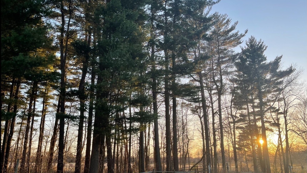 Photo of Outdoor in East Springfield