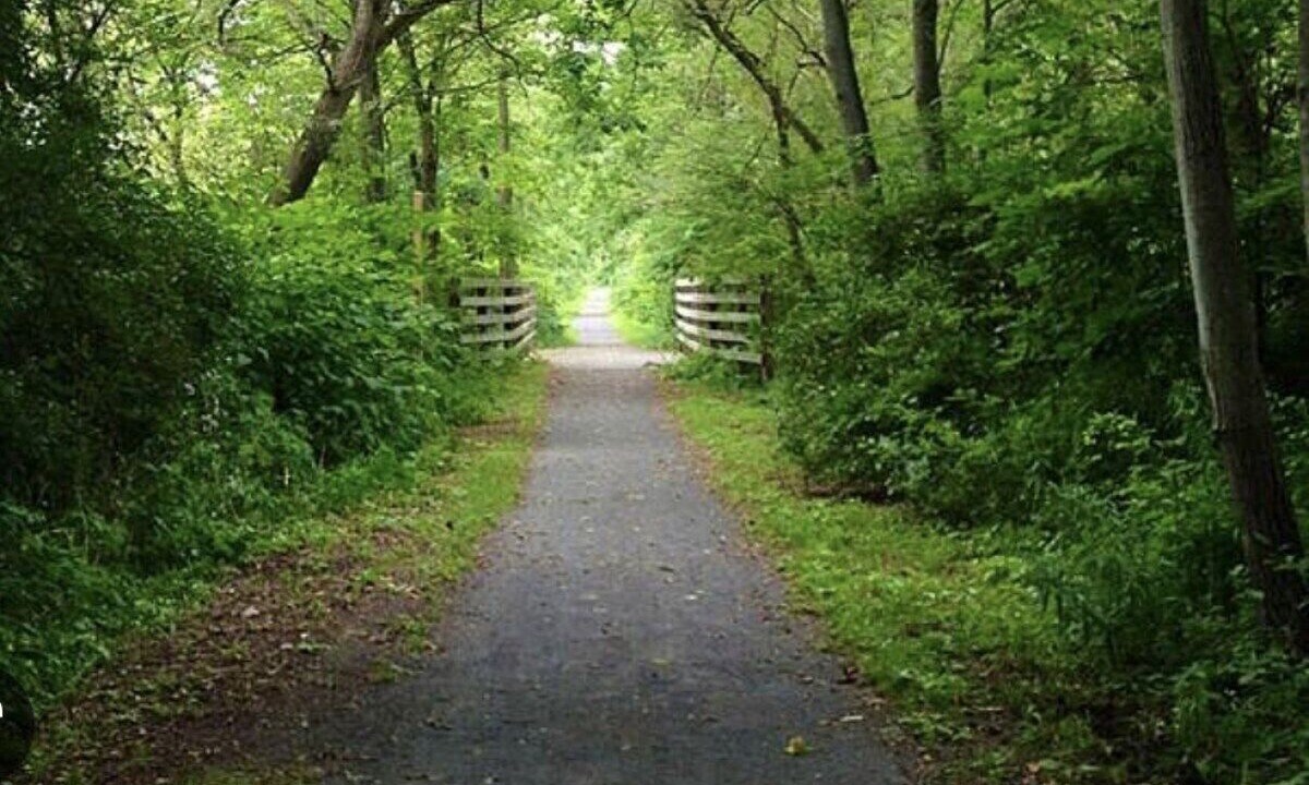 Photo of Others in Watkins Glen