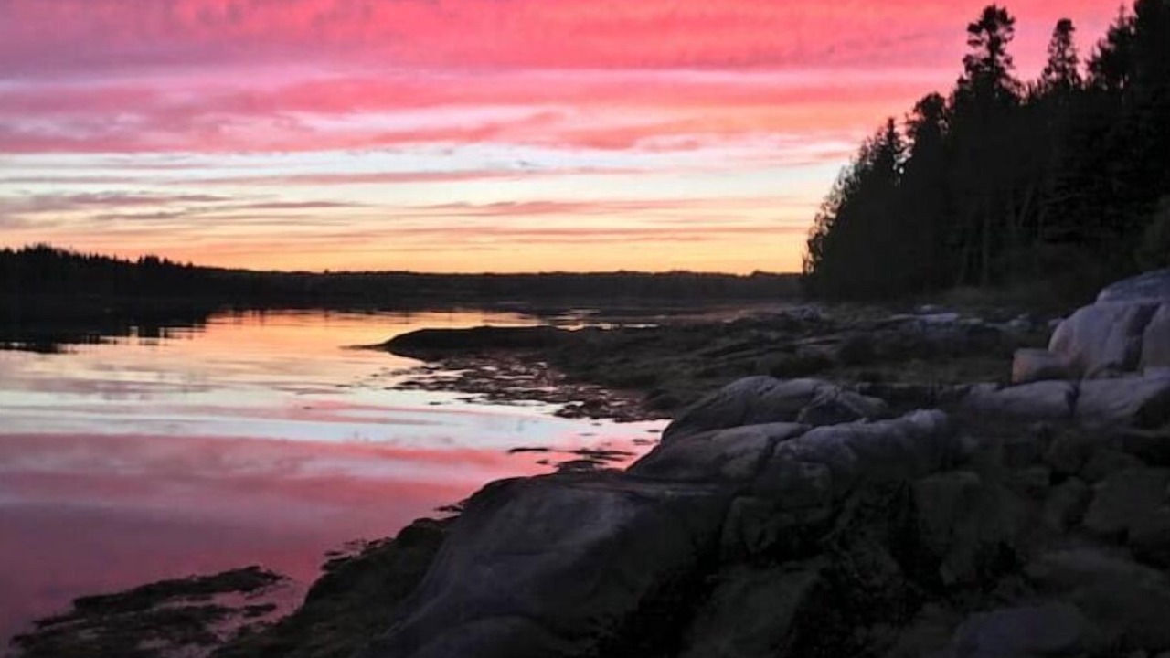 Photo of Others in DownEast and Acadia Maine
