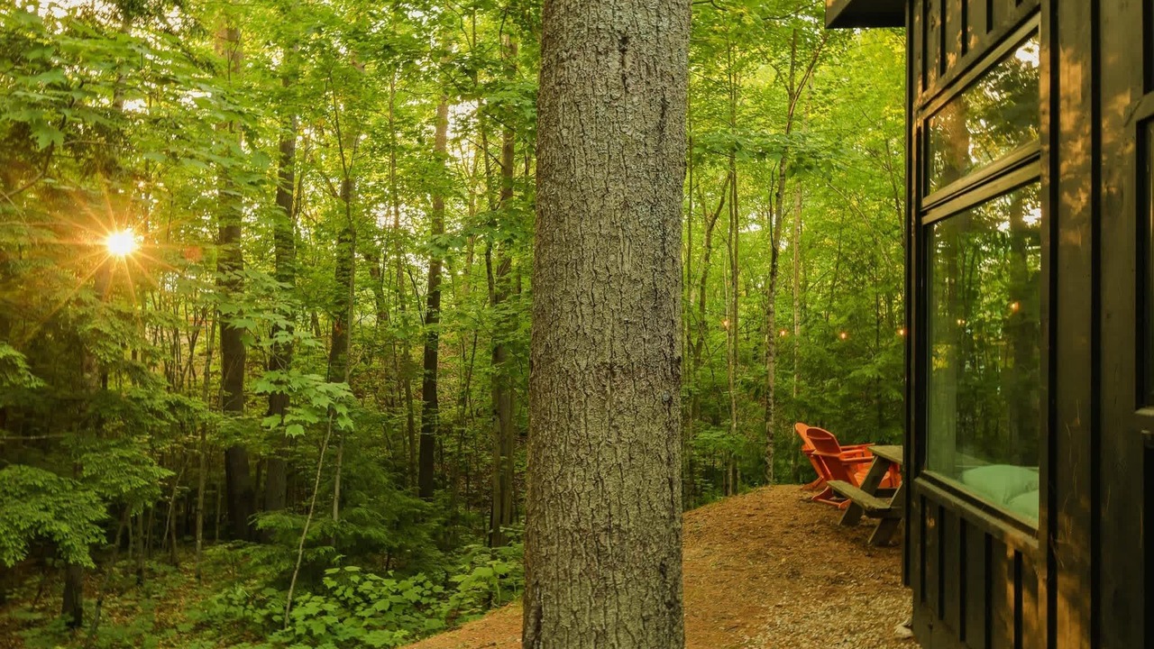 Photo of Outdoor in Freeport