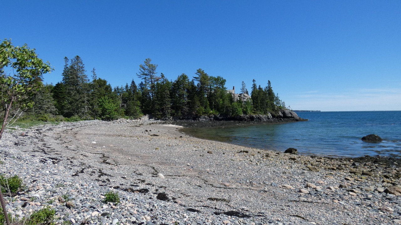 Photo of Others in Northeast Harbor