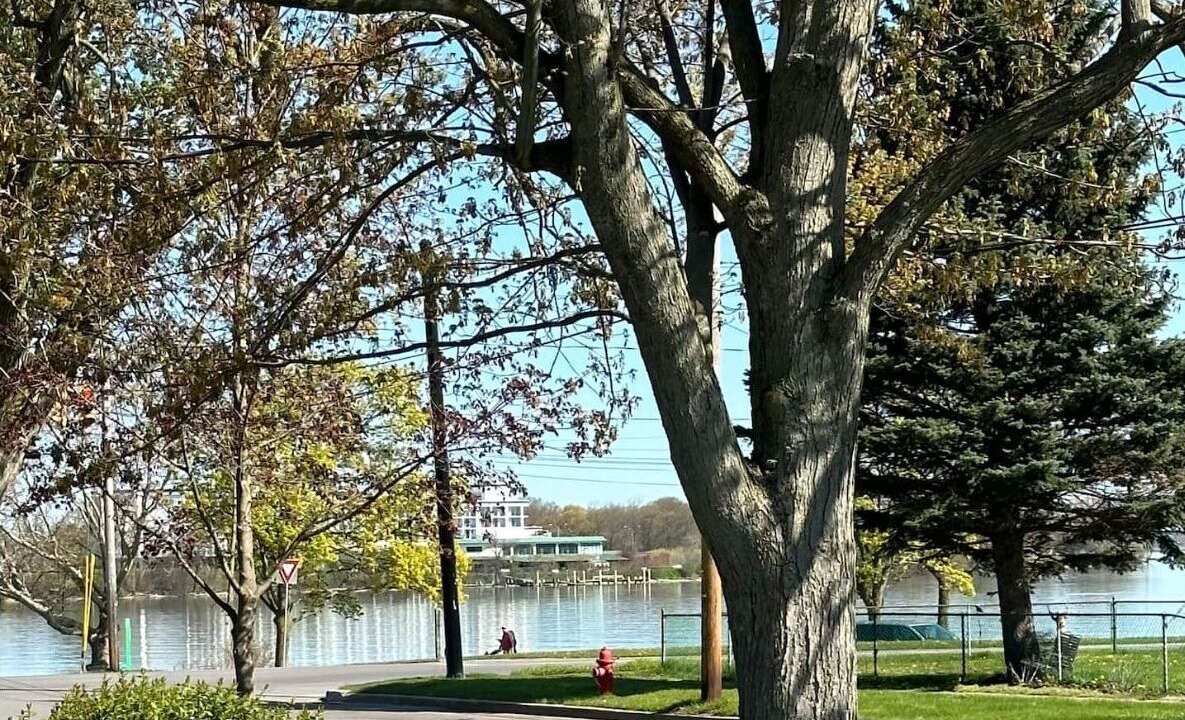 Photo of Others in Tonawanda