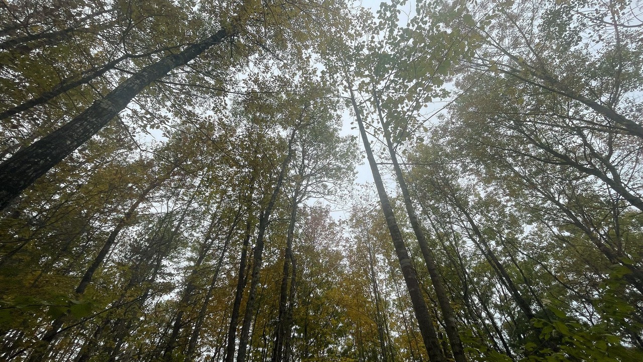 Photo of Outdoor in Damariscotta