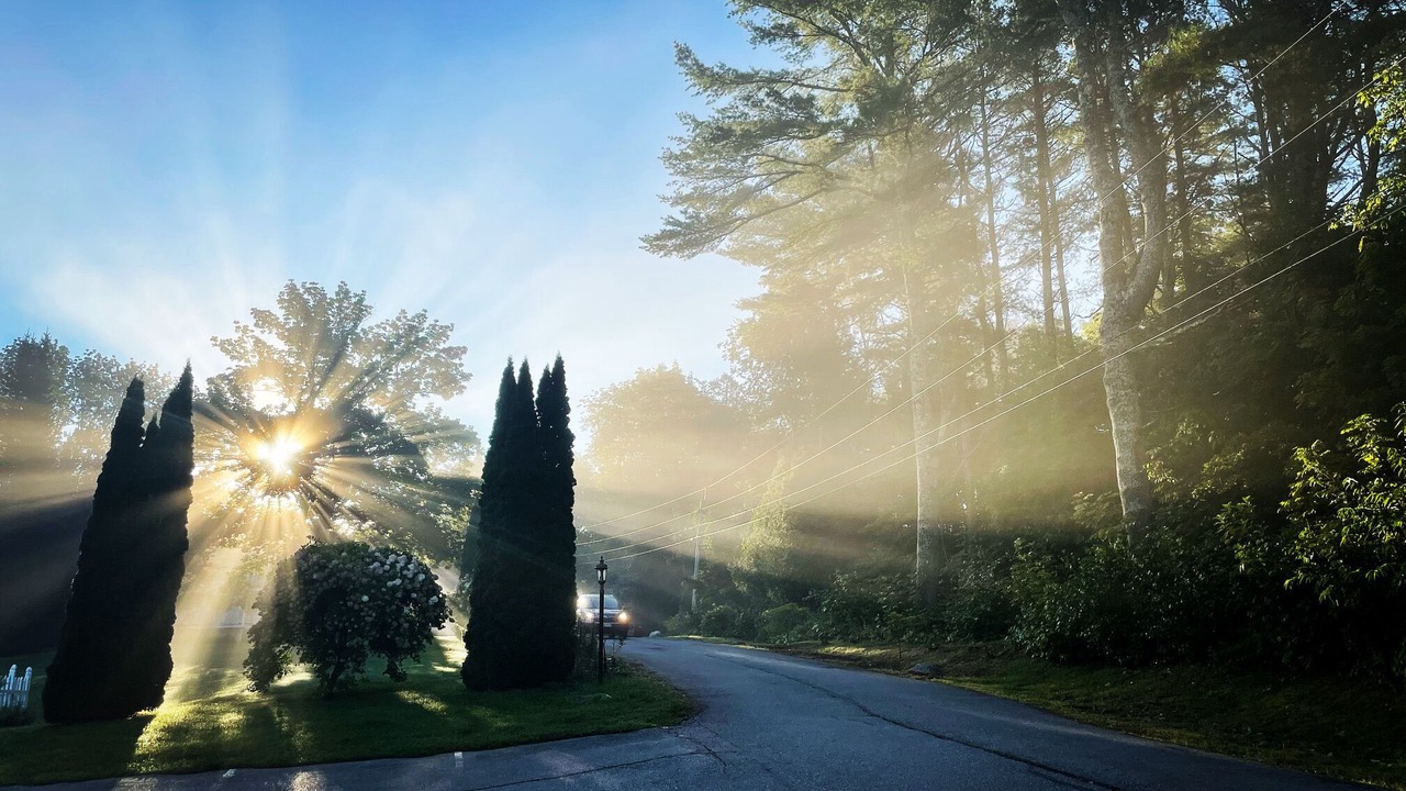 Photo of Outdoor in Damariscotta