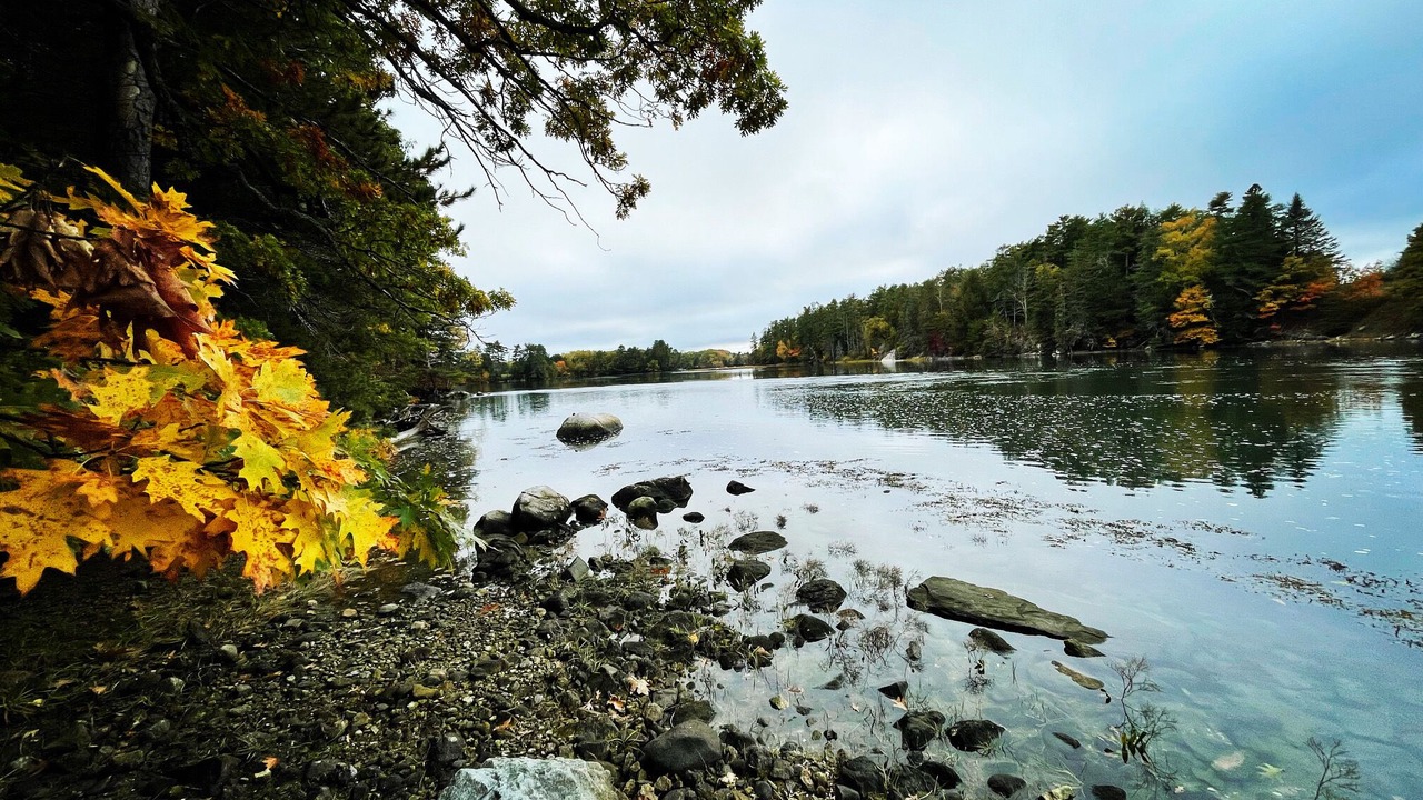 Photo of Outdoor in Damariscotta