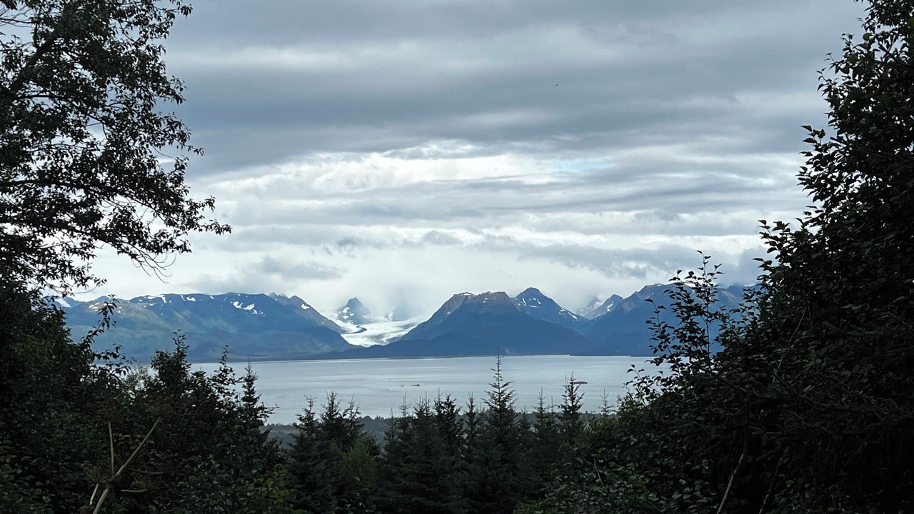Photo of Others in Homer