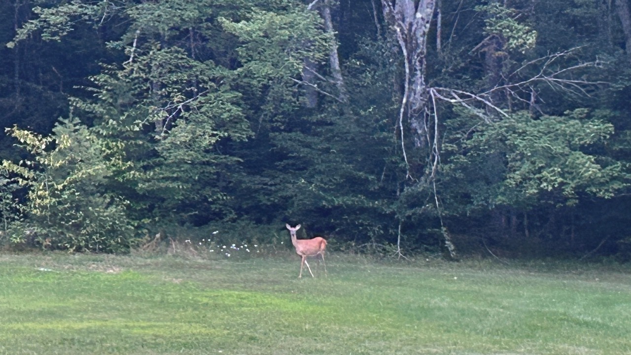 Photo of Others in Chestertown