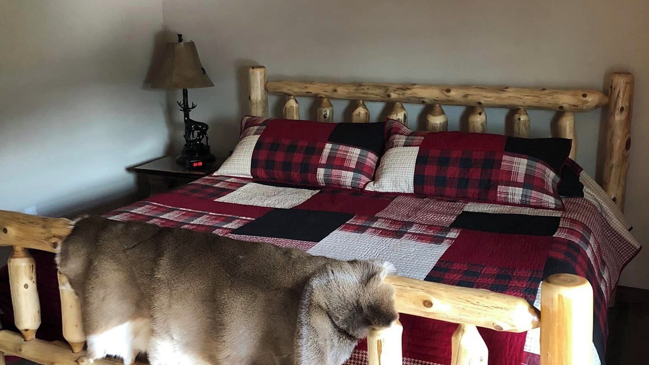 Photo of Bedroom in Fort Kent Mills