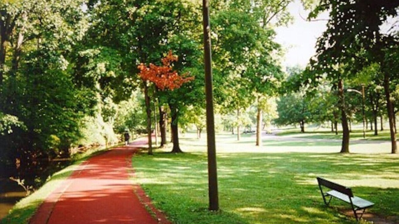 Photo of Others in Canton